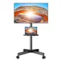 TV laikiklis 23-60 Perlegear PGTVMC06