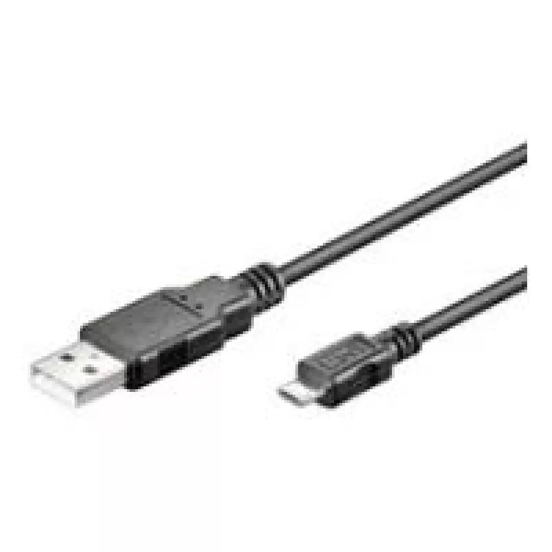 Wentronic 94181 USB kabelis, juodas