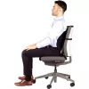 KĖDĖS NUGAROS ATRAŠAS/BACK ANGEL 8026401 FELLOWES