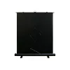 Elite Screens F84NWH