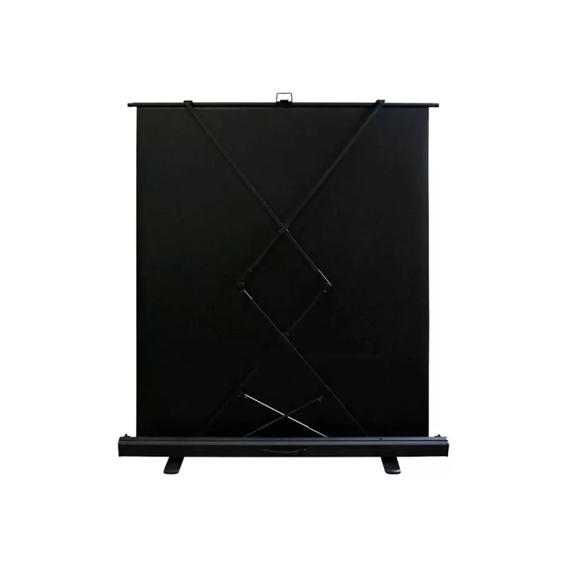 Elite Screens F84NWH