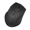 Logilink belaidė pelė BT5.0, ergonominė, juoda