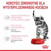 Šlapias kačių ėdalas Royal Canin Sterilised Gravy, 12 x 85 g maišeliai — vištiena, sterilizuotiems/ kastruotiems kačiukams, 11% baltymų, 80,5% drėgmės