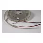 Synergy 21 LED lanksti juostelė 5050 - 60 WW DC12V 72W IP20