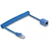 Tinklo kabelis DeLOCK 90365 1,2 m Cat6 U/UTP