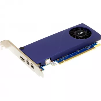 Sparkle Intel Arc A310 ECO SA310C-4G vaizdo plokštė, 4 GB GDDR6, 64 bitų, PCIe 4.0 x8, 1000 MHz, žemo profilio, 1 ventiliatorius