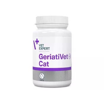 Maisto papildas VETEXPERT GeriatiVet Cat kapsulės 60 vnt. — parama vyresnio amžiaus katėms, smegenų veiklą gerinantis papildas, be glitimo ir sojos