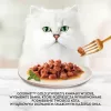 Purina 7613032947972 kačių drėgnas maistas 85 g