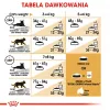 Sausas kačių ėdalas Royal Canin Bengal Adult 2 kg — paukštiena, 40 % baltymų, 18 % riebalų, virškinimo ir odos priežiūra