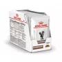 Šlapias kačių maistas Royal Canin Gastrointestinal 85 g paketėlis — mėsa, 12 x 85 g, suaugusios katės, virškinimo problemoms
