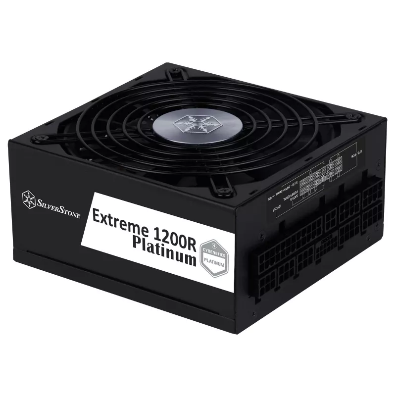 Sidabrinėstone SST-EX1200R-PL platininis maitinimo blokas