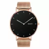 Išmanusis laikrodis Garett Verona Gold Steel AMOLED Bluetooth IP67 GPS SMS