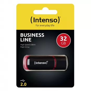 ATMINTINĖ LAIKMENĖ FLASH USB2 32GB/3511480 INTENSO