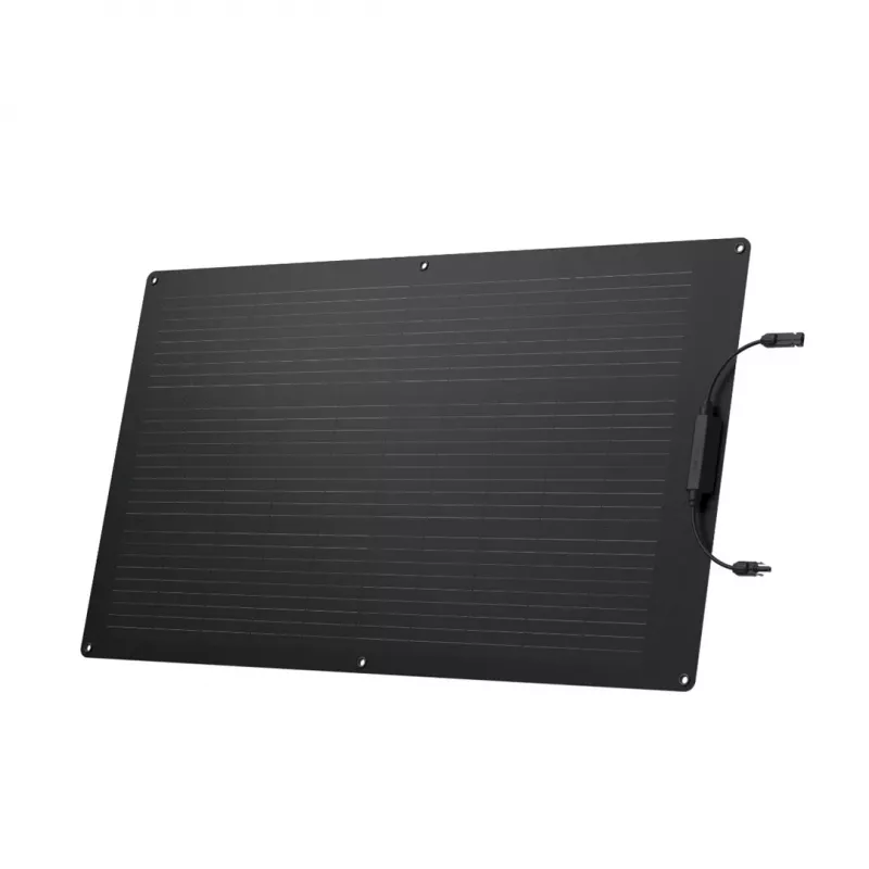 EcoFlow ZMS330 saulės baterija 100 W Monokristalinis silicis