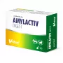 VETFOOD Amylactiv virškinimui šunims ir katėms 30 kapsulių