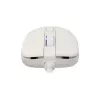 Pelė White Shark GM-9004 Tristan-2 balta RGB USB