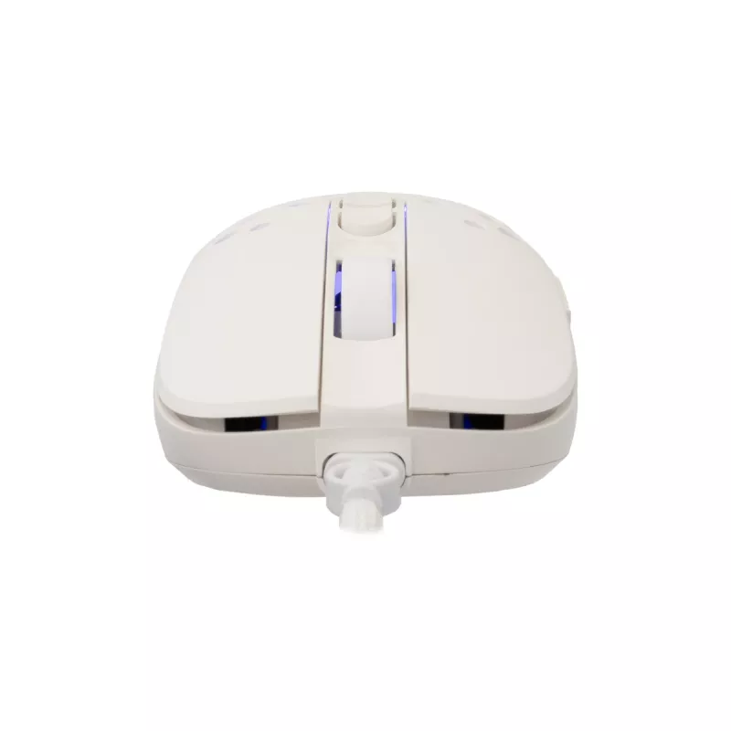 Pelė White Shark GM-9004 Tristan-2 balta RGB USB