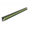 Splice Box priekinis skydelis DeLOCK 19 colių 24 prievadų SC Simplex laimo žalia