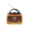 Analoginis radijo imtuvas BLOW RA10 AM/FM saulės energija 77-540 — AM/FM imtuvas su saulės baterija ir atsarginiu maitinimu