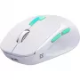 Pelė Defender NITTA MM-307 RF+BT OPTIC 1600dpi 6P WHITE