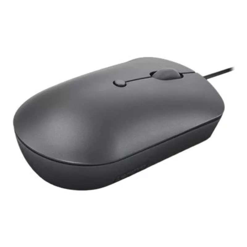 Lenovo 540 pelė Office Ambidextrous USB Type-C Optinė
