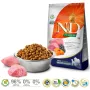 FARMINA N&D Pumpkin Lamb&Blueberry Adult Medium & Maxi - sausas šunų maistas - 12kg