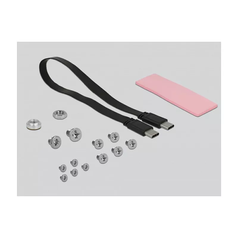 SSD korpusas DeLOCK 42609 Juodas M.2