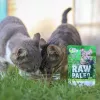 Šlapias kačių maistas VETEXPERT RAW PALEO Adult Sterilised Game 100 g — elniena, be grūdų, turinčioms antsvorio polinkį