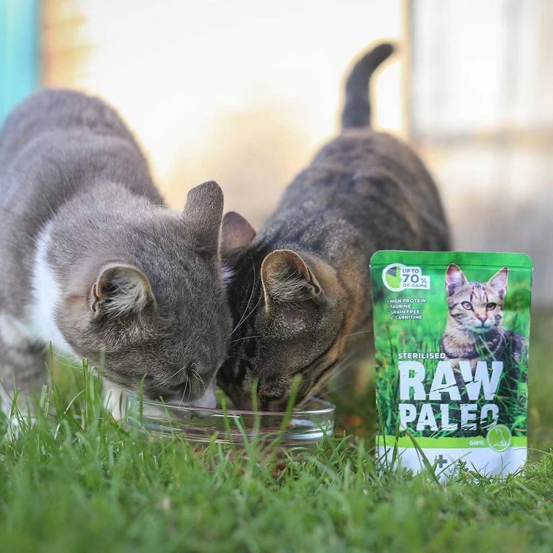 Šlapias kačių maistas VETEXPERT RAW PALEO Adult Sterilised Game 100 g — elniena, be grūdų, turinčioms antsvorio polinkį