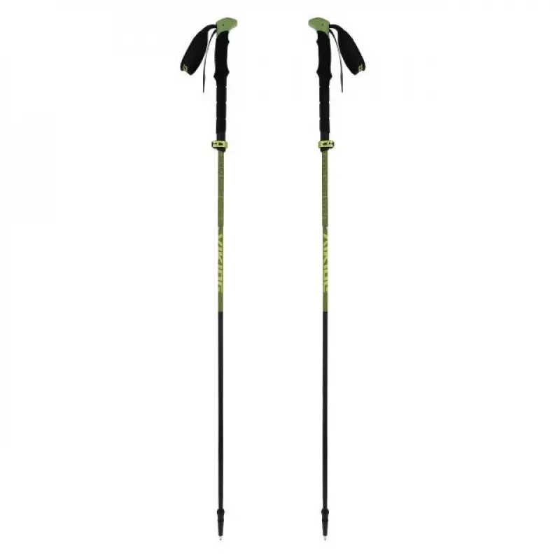 Suaugusiųjų lazdos VIKING Terve 2.0 Trekking Green UNI