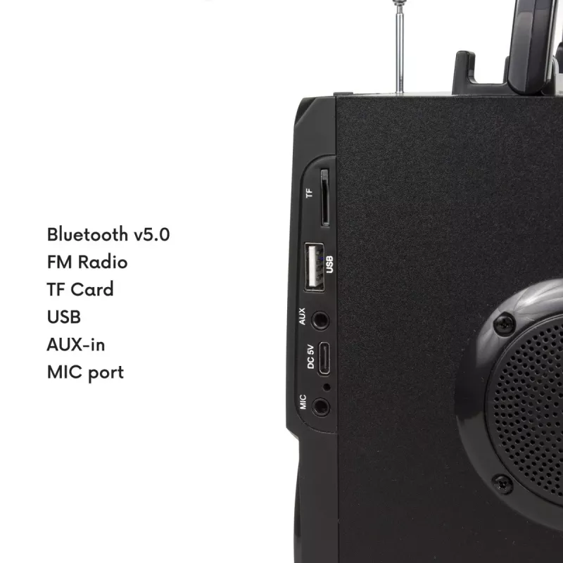Bluetooth garso kolonėlė Audiocore AC730, juoda