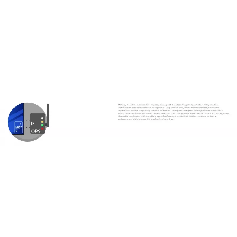 Avtek informacinis monitorius DS2 75