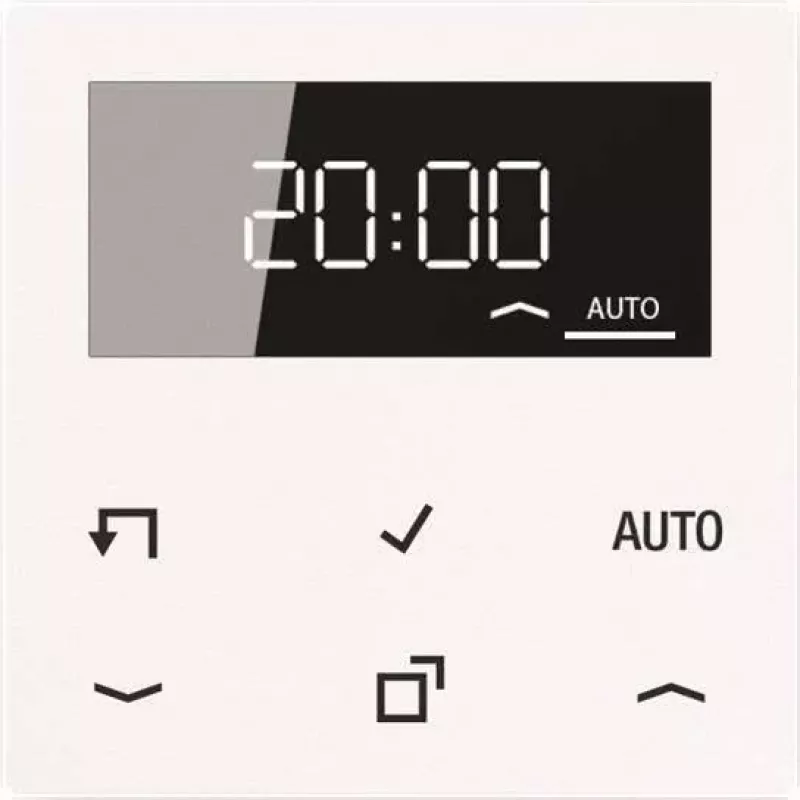 JUNG A 1750 D WW Timer Standard Display Echtglasfront