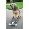 Longboard Muuwmi Lights GLOW ABEC 7 su šviečiančiais ratukais, juoda/žalia