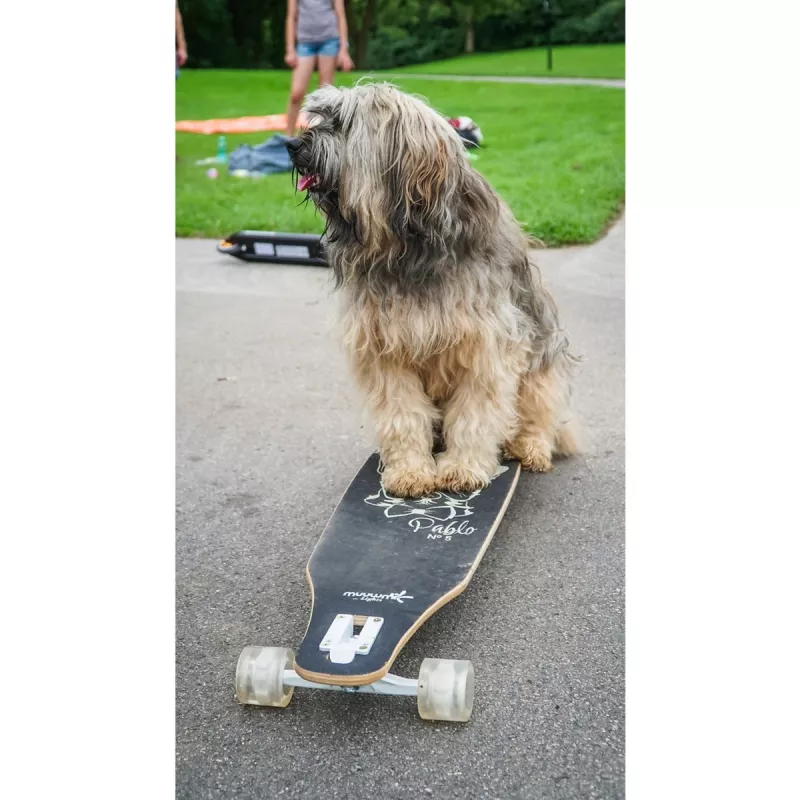 Longboard Muuwmi Lights GLOW ABEC 7 su šviečiančiais ratukais, juoda/žalia