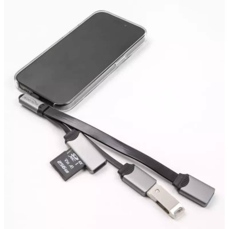 DeLOCK 64303 USB 3.2 Gen 1 Type-C šakotuvas 5000 Mbit/s Pilka