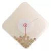 NeXtime klok 3006 Coins, 35x35 cm, sieninis, permatomas