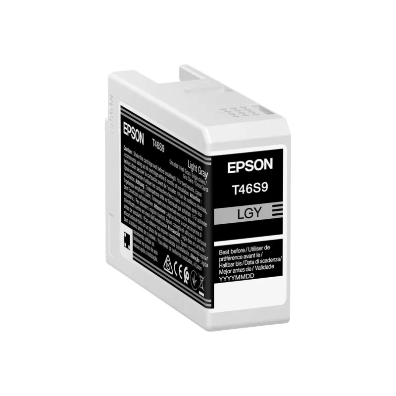 Rašalo kasetė Epson UltraChrome Pro 10 T46S9 Light Gray – Originali šviesiai pilka pigmentinė