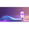 Xiaomi Smart LED lemputė balta ir spalvota – išmanioji lemputė