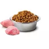 Farmina Pet Food šunų sausas maistas 2,5 g Suaugusiems Vištiena