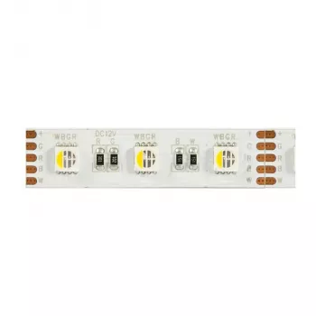 Synergy 21 LED lanksti juostelė 5050 - 60 RGB DC24V + RGB-W vienas lustas nw IP68