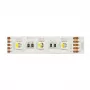 Synergy 21 LED lanksti juostelė 5050 - 60 RGB DC24V + RGB-W vienas lustas nw IP68