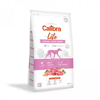Sausas šunų ėdalas Calibra Life Junior Large Breed Lamb 12 kg — sausas trupininis ėdalas didelių veislių šuniukams, 28 % baltymų, 15 % riebalų