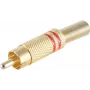shiverpeaks BS52020-R jungties laidas RCA auksinis (BS52020-R)