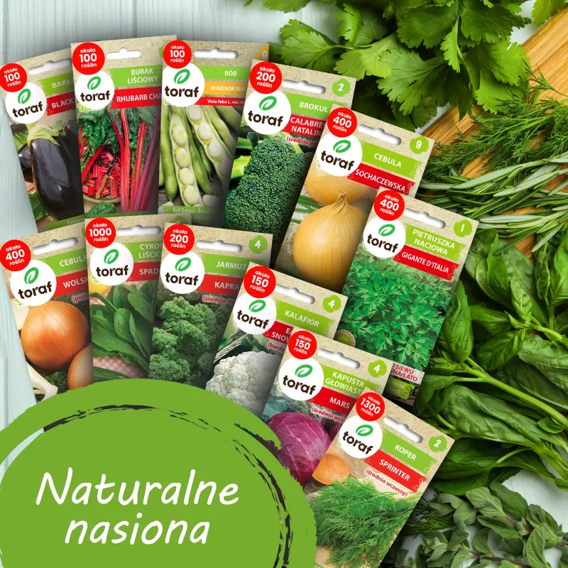 Toraf daržovių sėklų rinkinys Harmony - 12 pakuočių