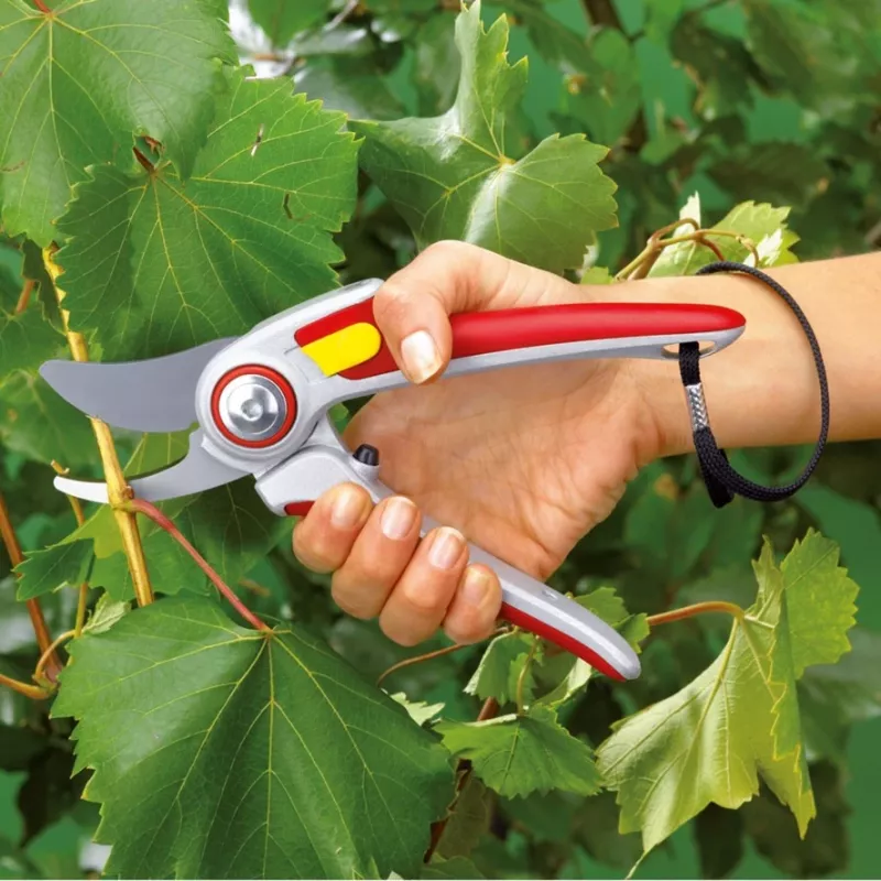 Vejažolė WOLF-Garten RR 5000 ALU-PROFESSIONAL