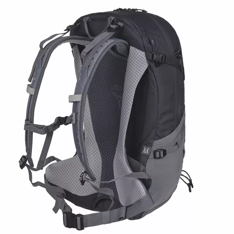 Kuprinė Deuter Futura 21 L Pilka