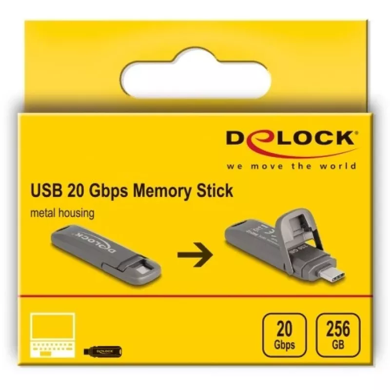 USB atmintukas DeLOCK 54012 256 GB USB Type-C pilka