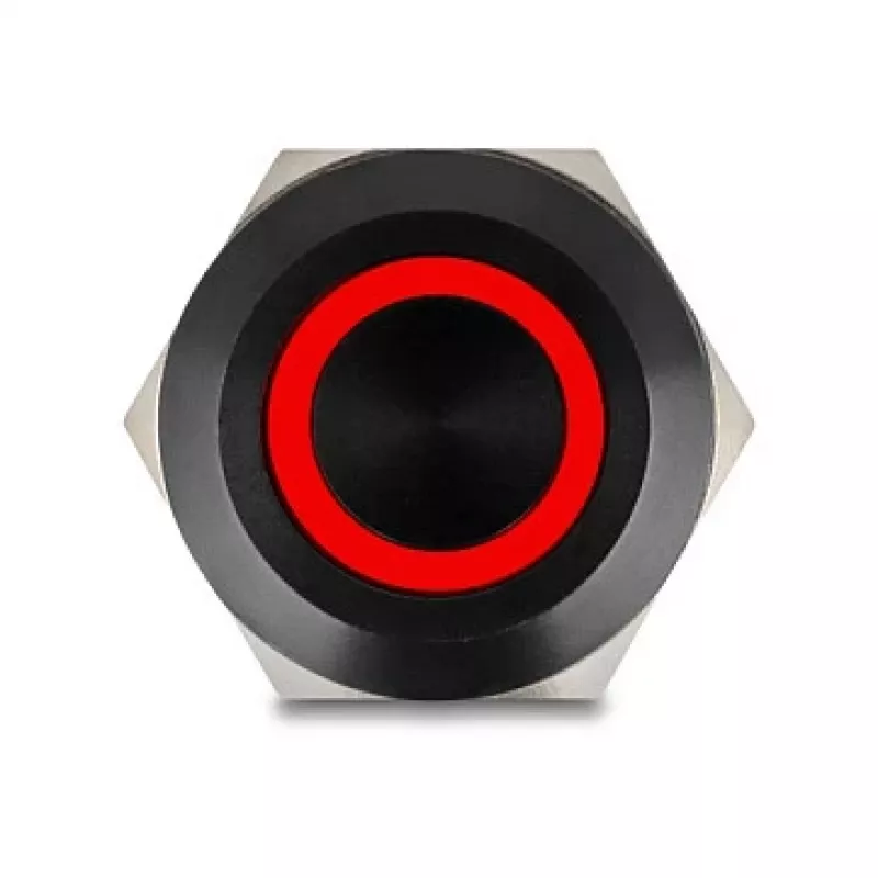 Skydo mygtuko jungiklis DELOCK 22015 22 mm, 12 V, 5 litavimo gnybtai