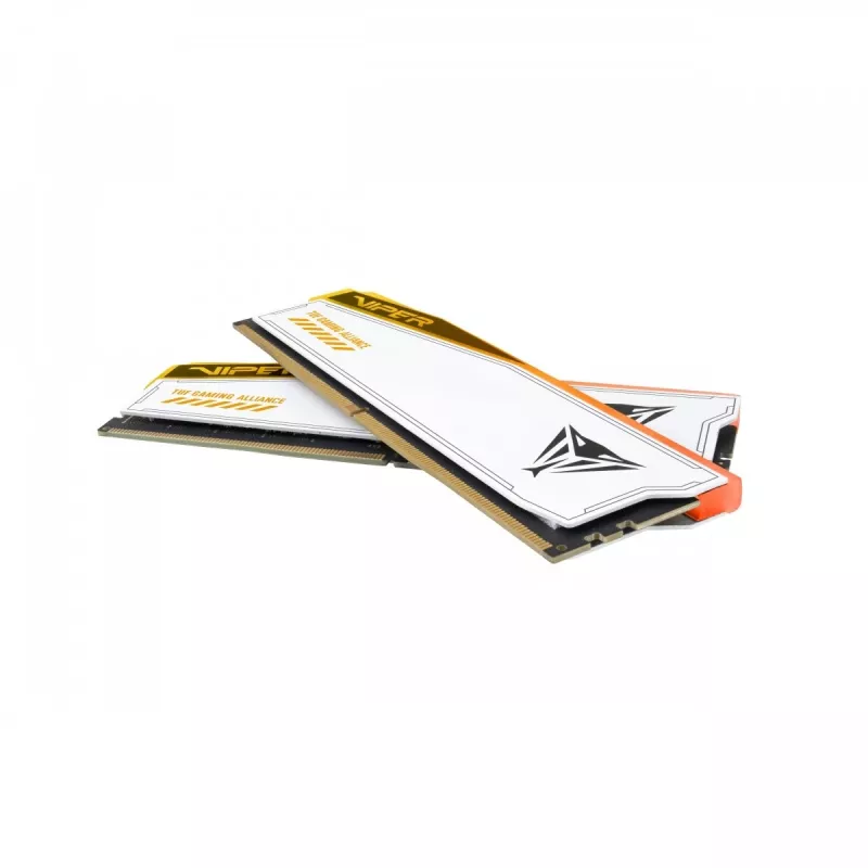 Patriot PVER548G60C36KT atminties modulis